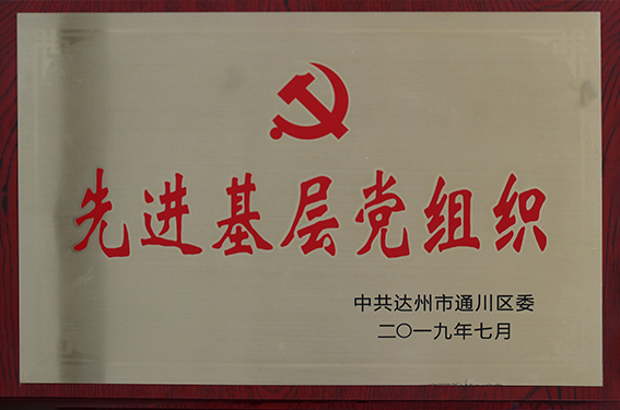 先进基层党组织.jpg