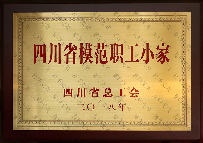 四川省模范职工小家2018.JPG
