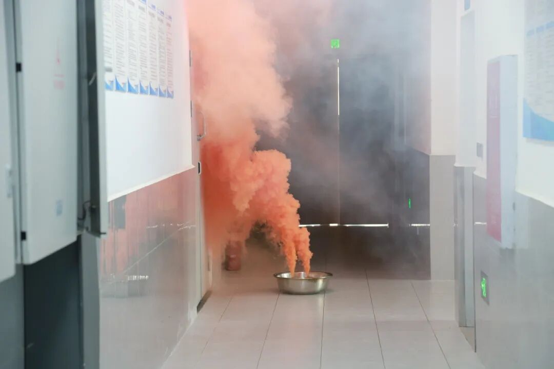 049590d2-4f48-4424-b8af-8cecf2b6878c.jpg